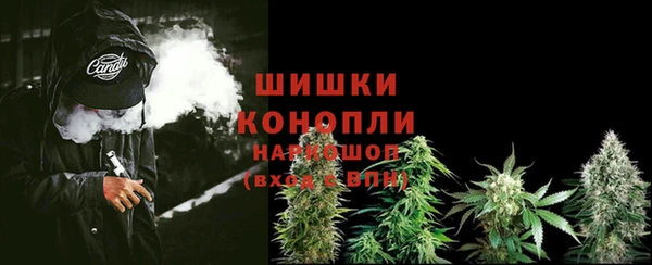 молекула духа Козельск