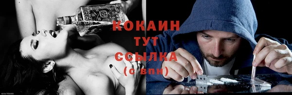 молекула духа Козельск