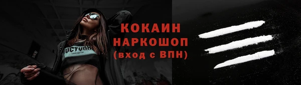 молекула духа Козельск