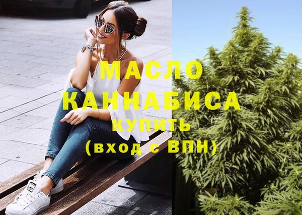 молекула духа Козельск