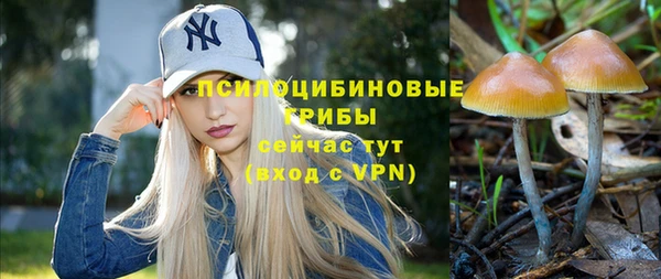 mdpv Карталы