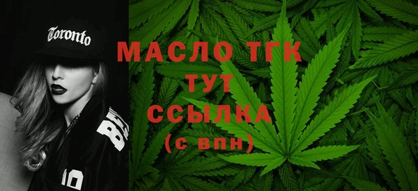 молекула духа Козельск