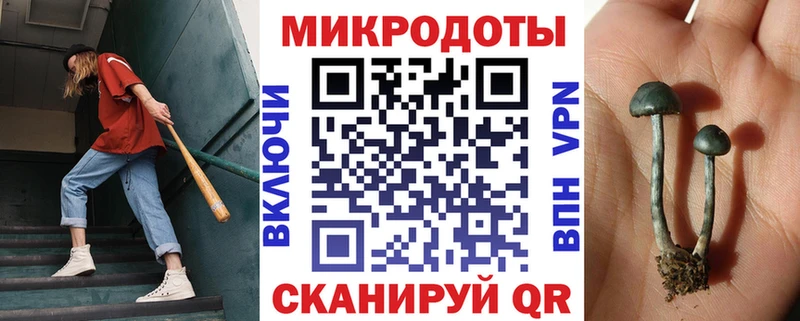 Псилоцибиновые грибы прущие грибы  где продают   Киренск 